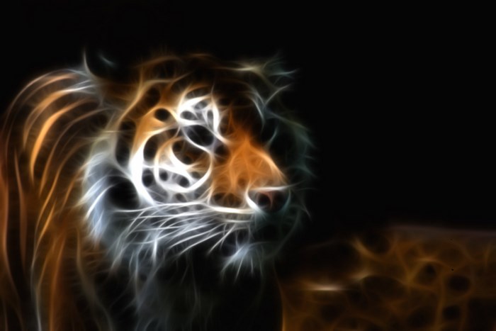Fractal Tiger Portrait