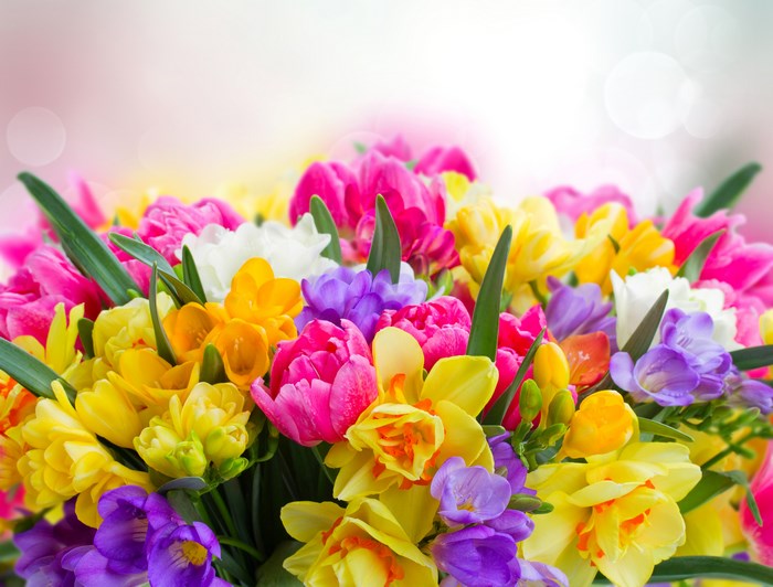 A vibrant bouquet of spring flowers