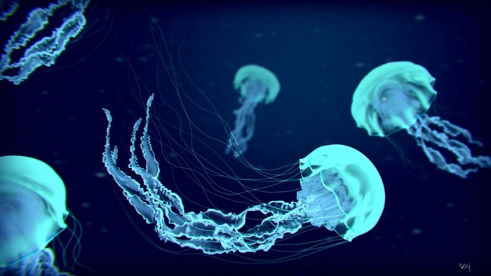 Several glowing jellyfish in dark blue water