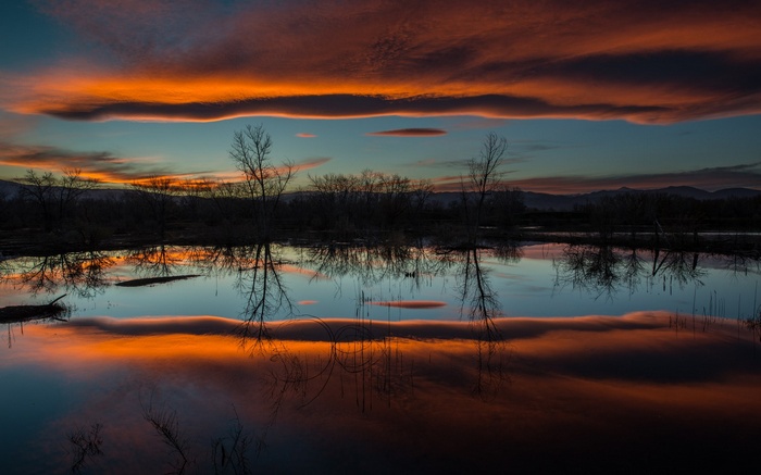 Sunset over a reflective body of water with silhouetted trees