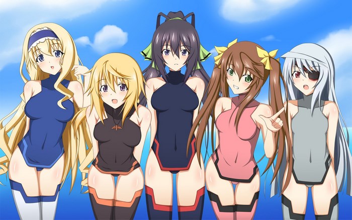 Five girls in swimsuits from Infinite Stratos