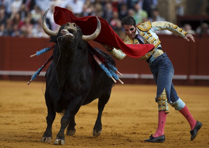 Bullfighter in traditional attire facing a bull