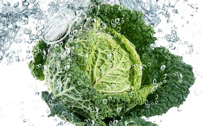 Savoy cabbage splashing in water
