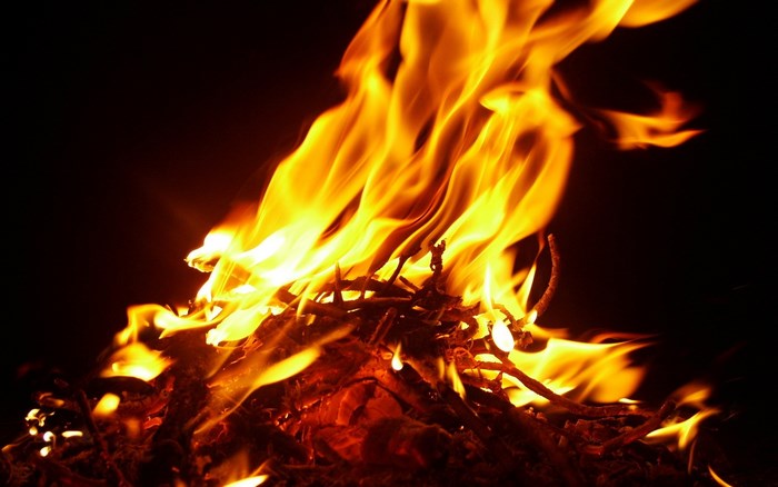 Bright Flames Dancing on Burning Wood