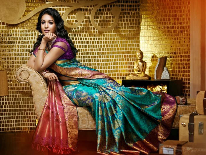 Catherine Tresa in Sari