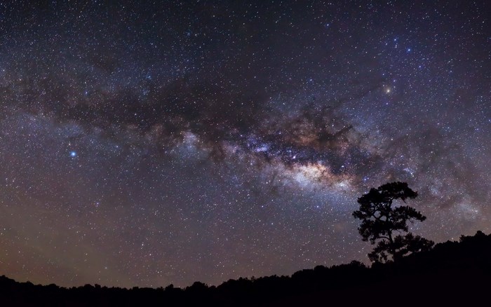 Milky Way galaxy over a silhouetted tree