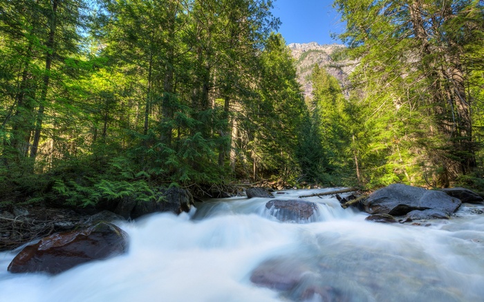 Fast flowing river through a dense forest with mountains in the background