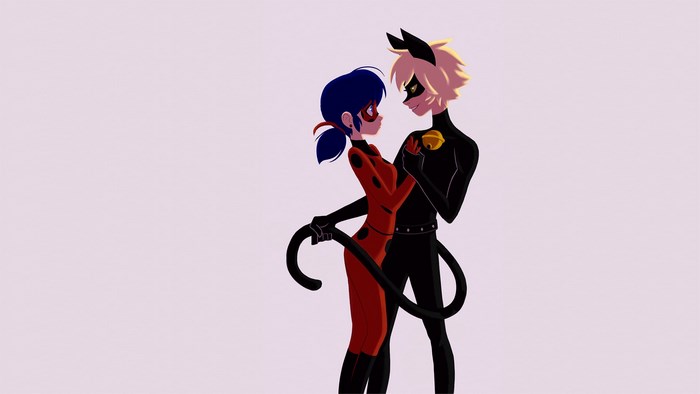 Ladybug and Cat Noir from Miraculous Tales of Ladybug and Cat Noir