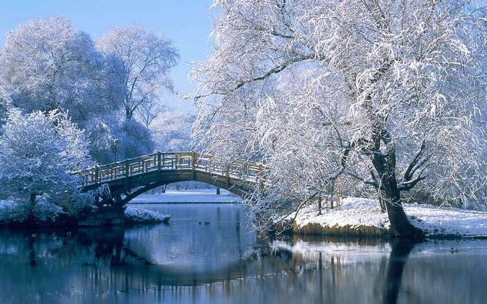 Snow-Covered Trees and Bridge Over Calm River