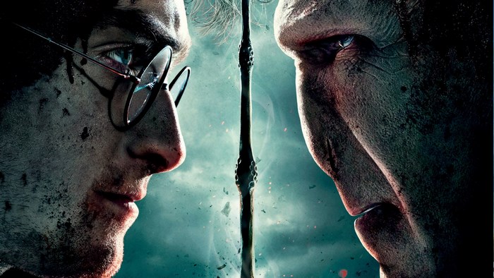 Harry Potter and Voldemort from Harry Potter and the Deathly Hallows Part 2