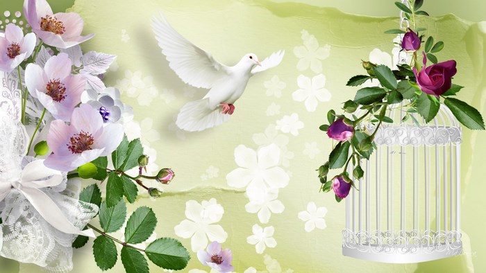 White Dove and Flowers with Birdcage