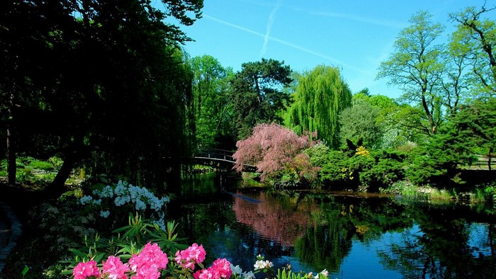 Japanese Garden with Pond and Bridge