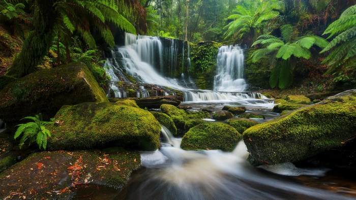 Waterfall in a lush green forest with mossy rocks