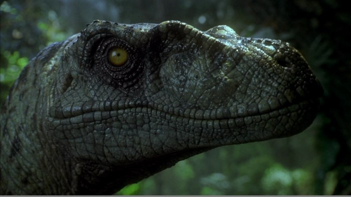 Velociraptor from The Lost World: Jurassic Park