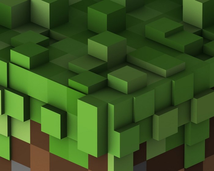 Minecraft grass and dirt blocks