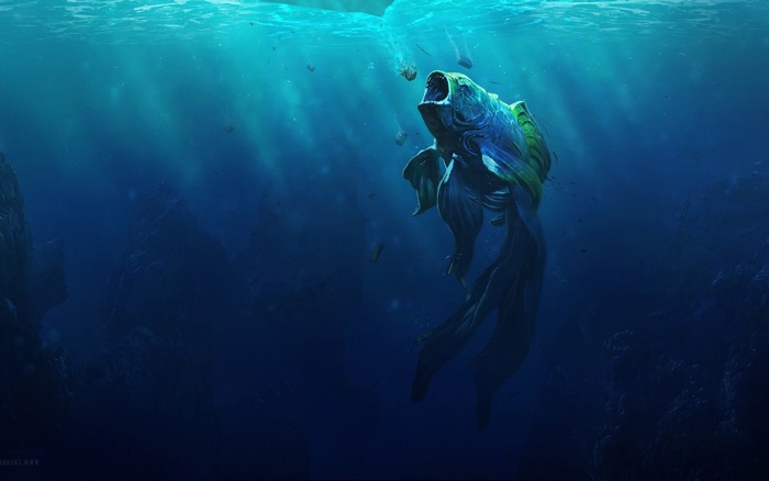 Underwater scene with a large fish