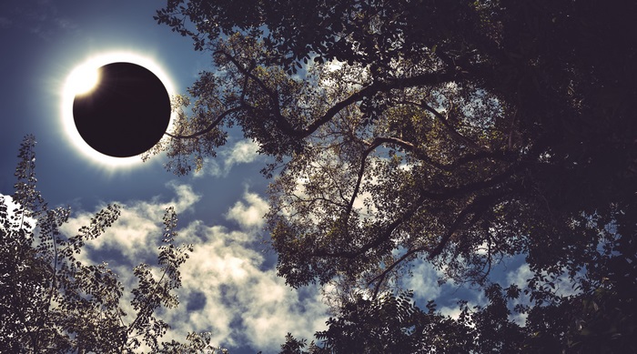 Total Solar Eclipse 4K