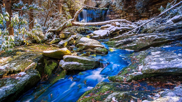 Serene Forest Stream with Snow in 4K