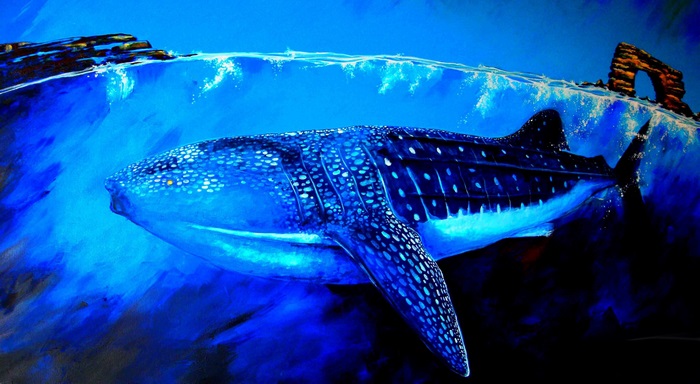 Whale shark swimming near rocky archway
