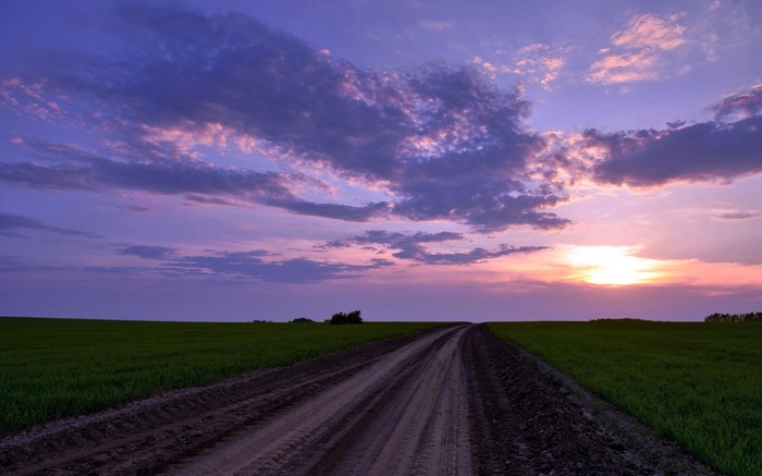Dirt road through a green field at sunset