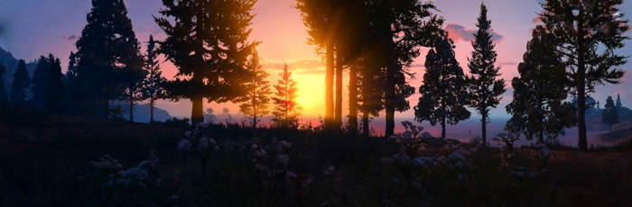 Grand Theft Auto V 4K Widescreen Computer