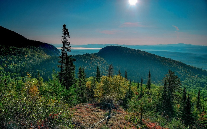 Mountain landscape with sun and forest