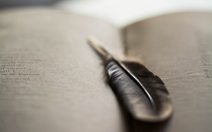 Feather on an open book