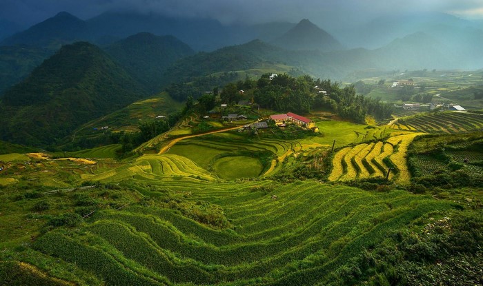 Terraced rice fields in Vietnam mountains