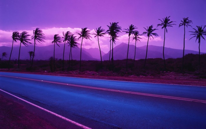 Purple sunset over a road with palm trees and mountains