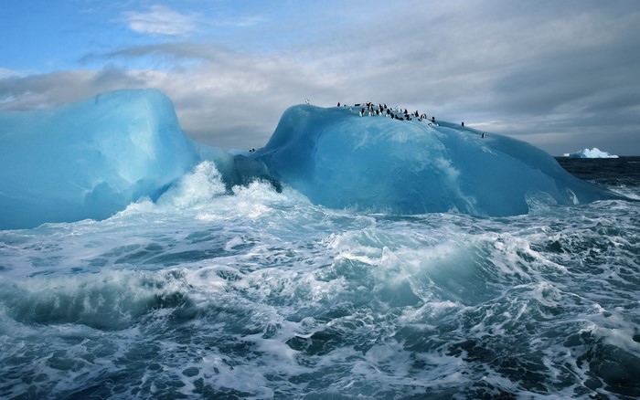 Penguins on a blue iceberg in the ocean