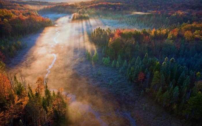 Aerial view of a misty forest during sunrise with sun rays