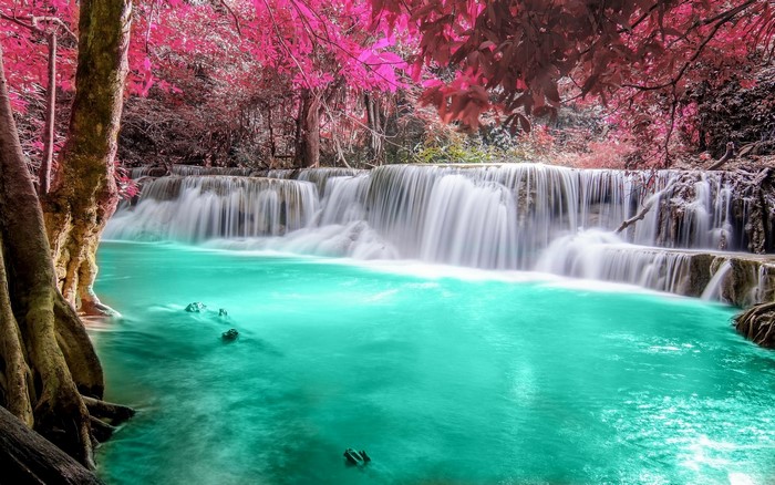Turquoise waterfall with pink trees in Thailand