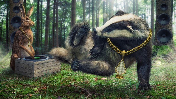 Rabbit DJ and Badger with Gold Chains in Forest