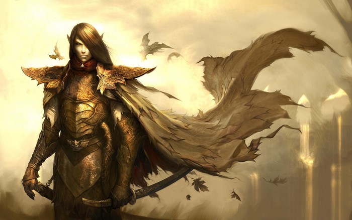 Elf warrior in ornate armor with a cape and sword
