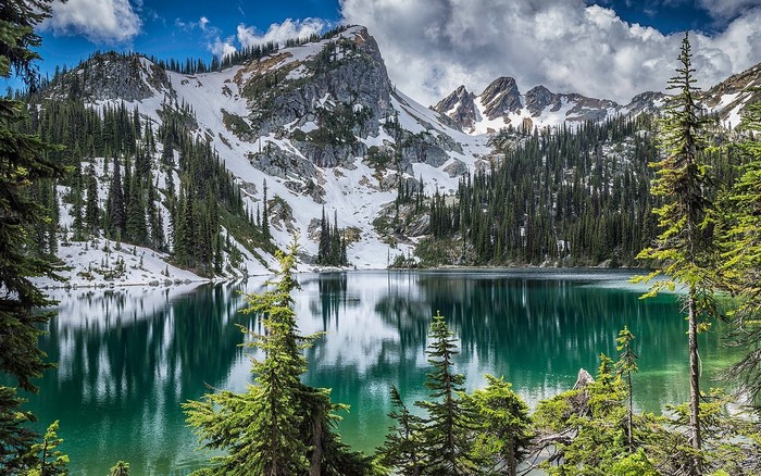 Snowy Mountains Reflecting in a Forest Lake
