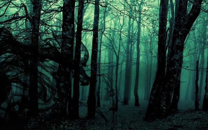 Dark and gloomy forest with ethereal smoke
