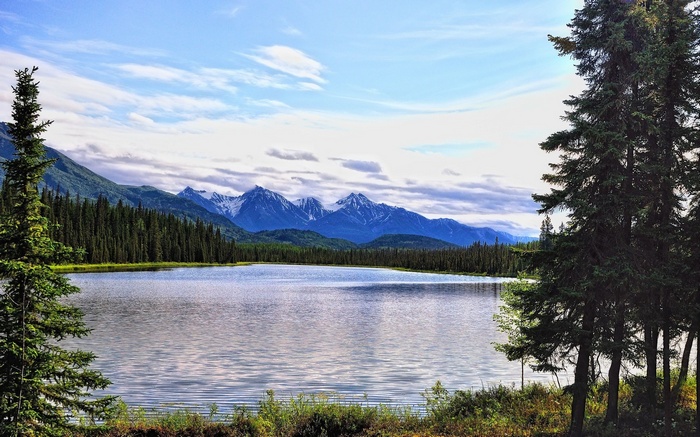 Lake and mountains with pine trees