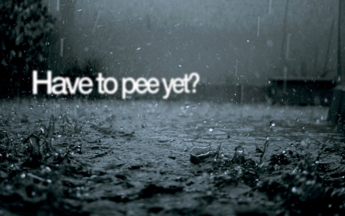 Have to pee yet? text on rainy background