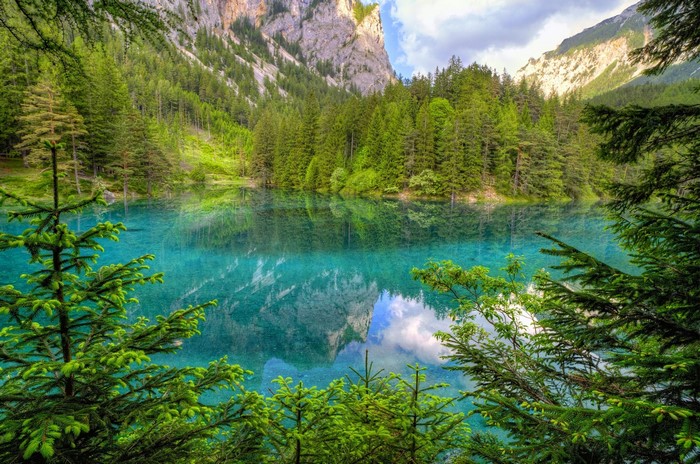 Turquoise Lake Surrounded by Forest and Mountains in Austria