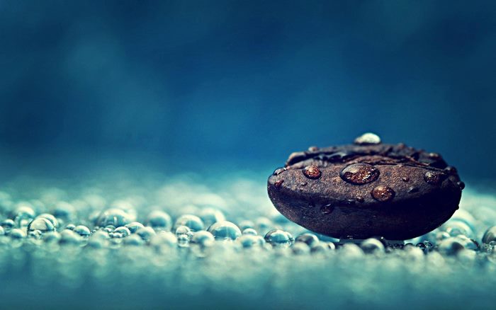 Macro coffee bean with water droplets