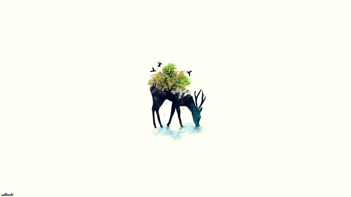 Deer with trees on its back drinking water
