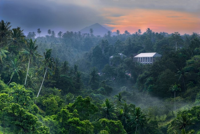 Tropical forest landscape with buildings at sunrise in Bali, Indonesia