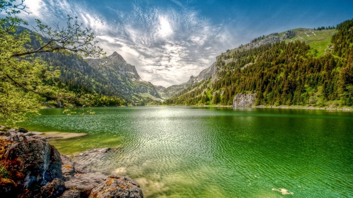 Emerald lake surrounded by mountains and forests in Switzerland