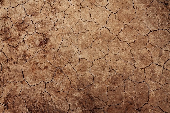 Cracked dry earth texture