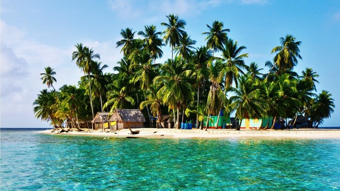 Tropical Island with Palm Trees and Clear Blue Water