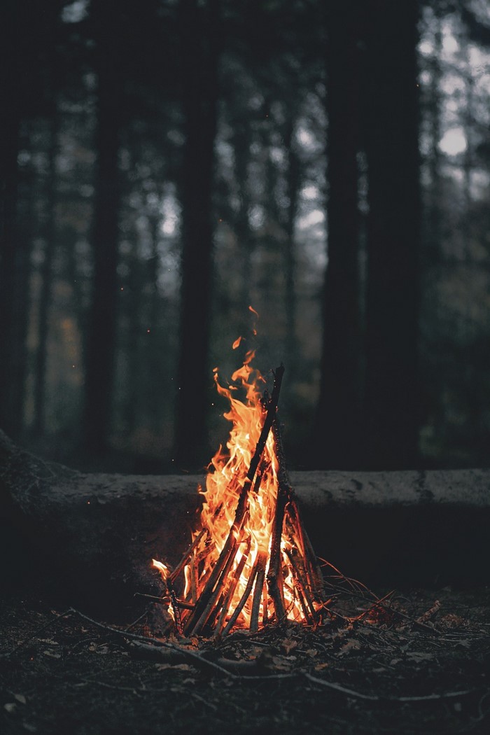 Campfire burning in a dark forest at dusk