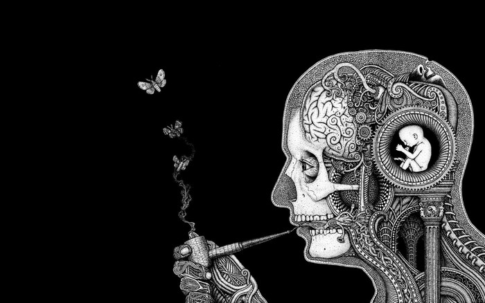 Surreal skull with fetus and butterflies