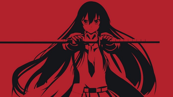 Akame from Akame ga Kill