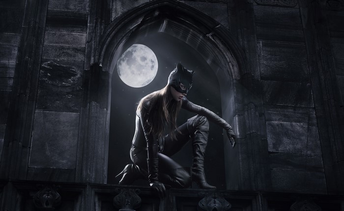 Catwoman crouching on a ledge under the moon
