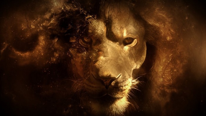 Fantasy art of a lion's face